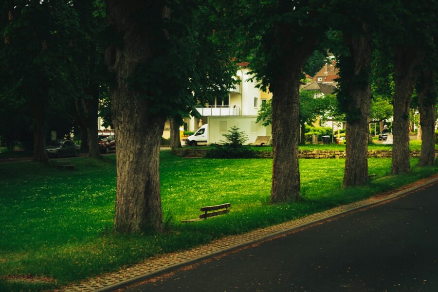 Hovedillustrasjon
